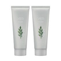 미샤 [2개] 개똥쑥 팩 폼 클렌저 150ml