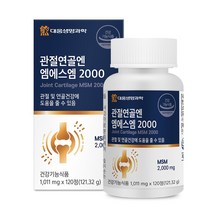 대웅생명과학 관절연골엔 엠에스엠 2000, 120정, 1개