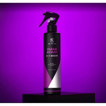 글라센 클린 앤 코트 차량 실내 얼룩제거제 250ml, 1개