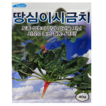 땅심이 시금치 씨앗 40g 토종 섬초의 맛과 외관을 지닌 시장성 높은 월동시금치 종자