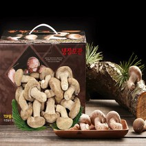 송화 송고 송향버섯 3등급(보급)500G, 3등급(보급)1kg