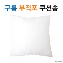 구름 실크 쿠션솜l 쿠션 l 압축포장 l 쿠션솜45 PTH, 08겨울커플부엉이