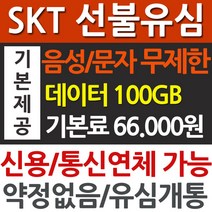 선불유심/ 데이터 무제한/ 선불폰/ 30일 정액, 1개, 선불유심