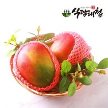 식탐대첩 프리미엄 페루 애플망고 3kg 6-7과내, 없음