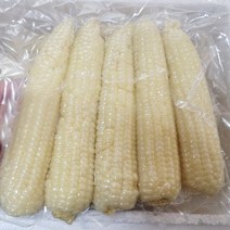 강원도 홍천 미백2호 찰옥수수 냉동 9개 15개 찐옥수수, 찐 냉동미백찰옥수수 25개 비품