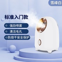 피부스티머 안면 보습기 온열나노스팀기 스티머 냉열 듀얼분사 얼굴찜기 나노 수분스프레이 가정용 페이스 스팀기 미용실 전용, 01 【기초 엔트리 모델】클렌징 수분