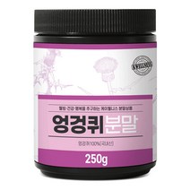 케이웰니스 국내산 엉겅퀴분말 250g, 1개, 단품