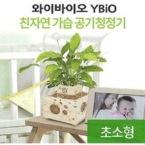 우즈에어화분 원목 가습기 산소발생 히노끼 어항 편백나무wxy680, MMSg_화분+자갈+식물(팔손이나무)
