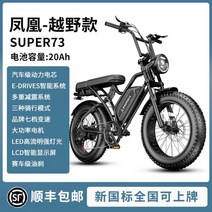전기자전거 Phoenix SD1 20인치 오프로드 레트로 빈티지 산악자전거 전동자토바이, F 20ah, 48V