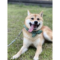 시바견 스카프 당초무늬 강아지 고양이 스카프 반다나 목걸이 목도리, 그린