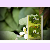 (장수원약초) 어성초즙 진액, 90mlX60포, 1상자