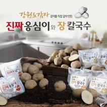 eTV 강원도 감자 진짜 옹심이 6팩 (옹심이 150g 6봉+옹심이 비법소스6봉), 1