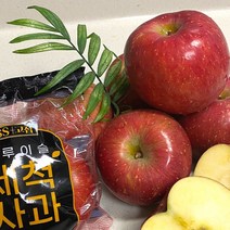 세척사과 부사 꿀 사과 껍질째 먹는 고당도 5kg 3kg 경북 정품 가정용, 세척 가정용 중소과 (19-21과)5kg, 1개