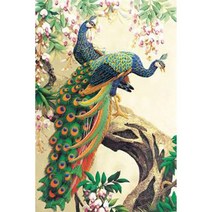 화려한 공작 한쌍 (캔버스) 보석십자수 40x50, 화려한 공작 한쌍 (캔버스) 보석십자수 40x, 어스래빗쿠팡 본상품선택