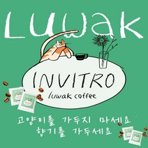 [당일 로스팅 출고] 인비트로 루왁 사향고양이 저카페인 발효커피 (원두 드립백), 500g 원두(분쇄도:홀빈)