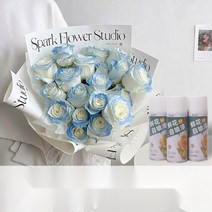 생화 스프레이 꽃 특수 염료 착색제 플라워 컬러 스프레이, 베리퍼플 450ml 전용컬러 친환경 포뮬러