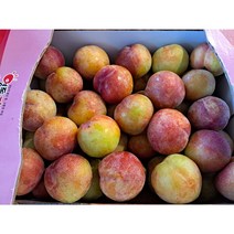 (과일천국1번지) 2023년 새콤달콤한 햇 추희 자두 2kg / 4kg, 1개