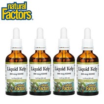 (4팩 기획) 내추럴팩터스 리퀴드 켈프 액상 다시마 추출물 요오드 아이오딘 800mcg 비건 50ml