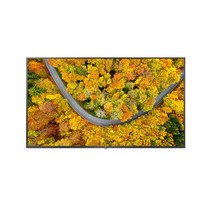 [LG][공식판매점] 울트라HD TV 벽걸이형 43UR642SW (107cm / 단품명 43UR642S0NC)