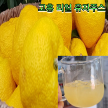 besell 고흥 유자 리얼 유자주스 유자즙 선물세트