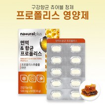 내츄럴플러스 면역 항균 프로폴리스 500mg x 60정, 단품, 단품