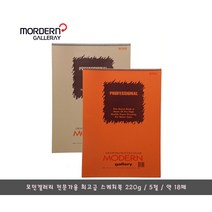모던갤러리 전문가용 5절 스케치북 220g/약 18매