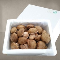 무농약 송화고버섯 선물포장 2호 1kg (아이스팩+아이스박스), 송화고버섯 선물세트 2호