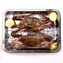 국내산 꽃게 급냉 선동 숫게 2kg