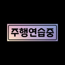 초보운전 탈부착자석스티커 LMCM-11 주행연습중, 반사-실버