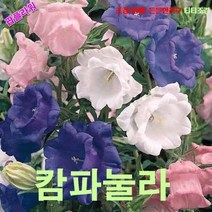 팝플라워 캄파눌라-미디움 겹꽃혼합 씨앗 15립