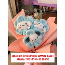 포차코 꽃다발 졸업식 산리오 어린이집 마이멜로디 화이트데이 쿠로미 헬로키티, 슈퍼 귀여운, 필수!배송비필수!추가해주세요