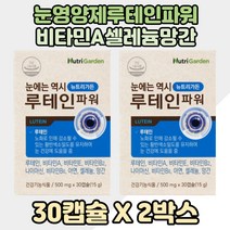 청소년 루테인눈건강 비타민A 메리골드꽃추출물 눈영양제 2박스 청소년눈영양제 성장기 중학생 루테인영양제 루테인비타민A 고등학생 눈건강 눈건강영양제 눈건강루테인 루테인아연 아이눈건강