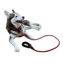 강아지리드줄 강아지 애견 대형견 산책줄 양손형 고리형 일체형 목줄, 블랙