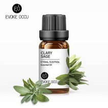 촛대 홀더 양초 캔들 인테리어 소품 EVOKE-새임 10ml 향수 오일 100% 순수 원액 강한 냄새 DIY 양초 비누, 22 Y-28 Clary Sage