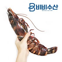 킹타이거새우 1마리 (25-35cm), 킹타이거 1마리 230-289g 32cm내외