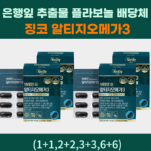 은행잎 추출물 노르웨이산 정제어유 알티지오메가3 밀납 대두레시틴 홍삼농축분말, 징코알티지오메가3/3+3