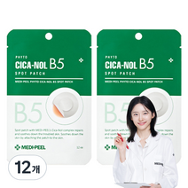 메디필 피토 시카놀 B5 스팟 패치 S, 36개, 36개입