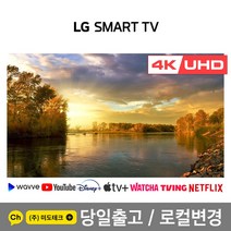 LG 55인치 4K 스마트 UHD TV 55UN7300 초고화질, 3. 지방권역 스탠드 +HDMI 2.0