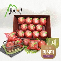 [산지애] 2022년 사과 특대과 4kg, 단품