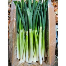 [도매장터]국산 깐대파 손질대파 가정용1kg 3kg 업소용5kg 10kg 15kg, 흙대파5kg