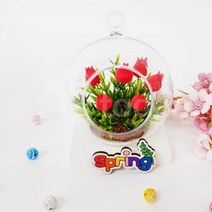 봄꽃 클레이공예 꽃꽃이 행잉화분 만들기 5인세트 EQ, 색상, 장미