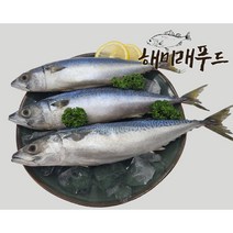 국내산 고등어 냉동고등어 10kg, 1.국내산 고등어10kg