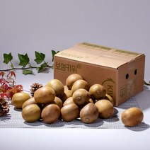 대농여지도 보성 프리미엄 유기농 골드키위 2kg, 중(23~25수)