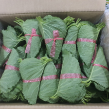 해돋이농산 국내산 깻잎 특품 1박스 2kg내외 (50속), 2kg 내외(50속), 1개