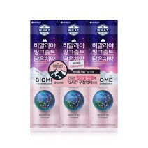 히말라야 핑크솔트 담은 치약 바이옴 100g X 3개
