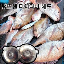 추랑 텅스텐 헤드 타이라바 헤드 45 60 80 100 120 150g, 1개