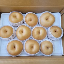 신고배 가정용배15kg 16-30과 / 선물용배 7.5kg 8-13과, 가정용 배 15kg (16-30과)