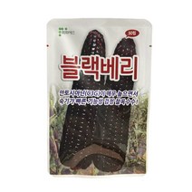 블랙베리 검정 찰옥수수 씨앗 50립 [23년포장] 블랙찰옥수수종자