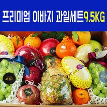 프리미엄 명절 혼합과일선물세트 10+1 이바지 과일 9.5kg 내외 보자기선물포장 부모님 스승의날 서비스