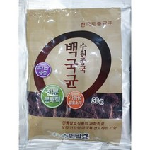 수원종국 백국균 / 쌀알 입체형(50g) / 전통주 전통식초 제조 / 수원발효, 1개